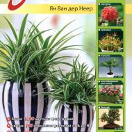 Все про нові і традиційні кімнатні рослини (рос.мовою)