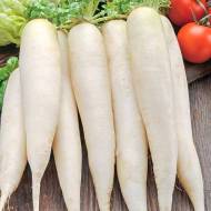Редька Дайкон Японський всесезонний за 2 г