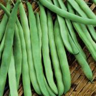 Фасоль спаржевая Лолита за 10 сем.