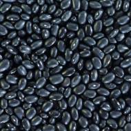 Фасоль спаржевая Черная черепаха