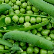 Горох Швейцарский гигант за 5 г