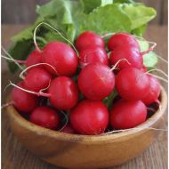 Редиска Черрі Білл за 200 нас.