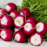 Редиска Ніколь F1 за 2 г