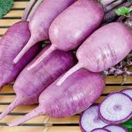 Редька Дайкон Пурпуровий Самурай F1 за 50 нас.