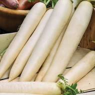 Редька Дайкон Міно Ерлі Лонг Вайт