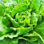 Салат Адриатика за 1 г