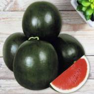 Кавун Ромерія F1 за 5 нас.