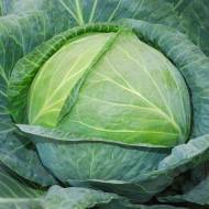 Капуста білоголова Одісей F1 за 10 нас.