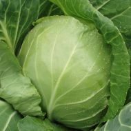 Капуста Брауншвейгська за 0,5 г