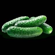 Огірок Їжачок F1 за 10 нас.