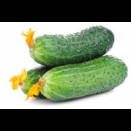 Огірок Козацький перекус F1 за 10 нас.