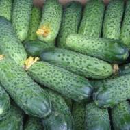 Огірок Соколик за 1 г