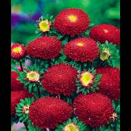 Айстра Велюр вишневий за 0,3 г