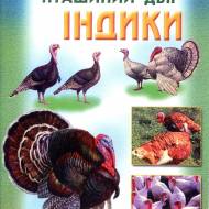 Індики. Пташиний двір