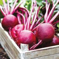 Буряк столовий Чудо Асгроу за 2 г