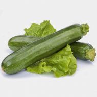 Кабачок Династія F1 за 5 нас.