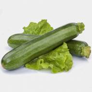 Кабачок Династія F1 за 5 нас.