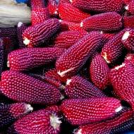 Кукурудза Поп-корн червоний за 15 г