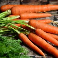 Комплект моркви «Гігант-комплект»