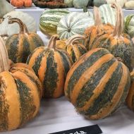 Тыква Тонда Падана за 10 сем.