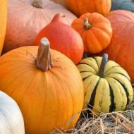 Комплект «Тыквенный бум»