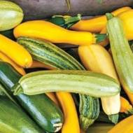 Комплект кабачков 