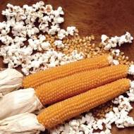 Кукуруза Поп-корн Гостинец за 30 сем.