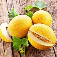 Дыня Кредо за 3 г