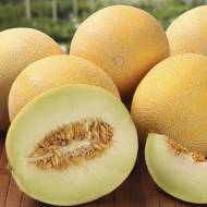 Диня Галанет F1 за 5 нас.