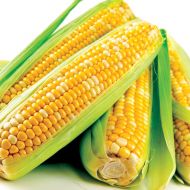 Кукуруза Айова Свит за 20 г