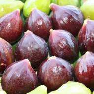 Саджанець Інжир Неаполітанський