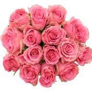 Роза чайно-гибридная Родос ловели