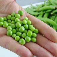 Горох Чудо Кельвідона за 20 г