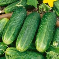 Огірок Український стандарт за 10 г