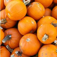 Гарбуз Крихітка за 1 г