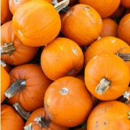 Гарбуз Крихітка за 1 г