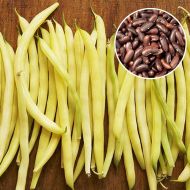 Фасоль Кофейное зернышко (спаржевая) за 10 г