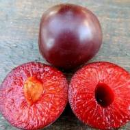 Саджанець Слива диплоїдна Старкинг Делішес