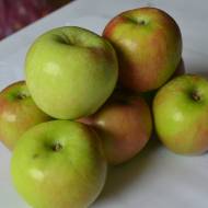 Саженец Яблоня Пламенное