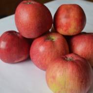 Саженец Яблоня Млиевчанка осенняя