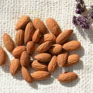 Саджанець Мигдаль Метеор