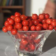 Саджанець Калина Рубінова