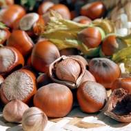 Саженецц Фундук привитый на орешнике медвежьем Трапезунд в контейнере