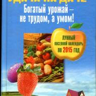 Успіх на дачі. Багатий урожай - на працею, а розумом!