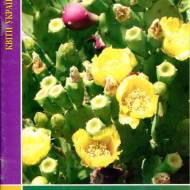 Сукулентні рослини(1 книга)