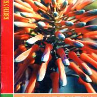 Сукулентні рослини (книга 2)
