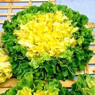 Цикорий Городний гигант за 0,3 г