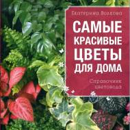 Найкрасивіші квіти для вашого будинку