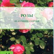 Троянди. 80 кращих сортів