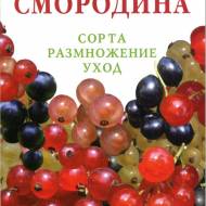 Смородина: сорта, размножение, уход